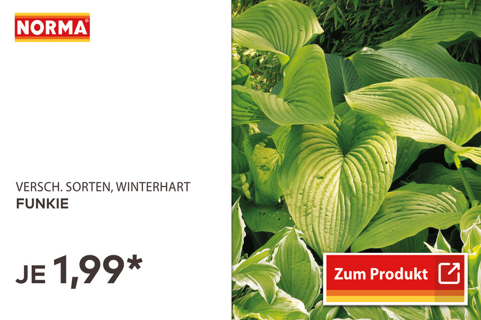 Funkie für 1,99 Euro