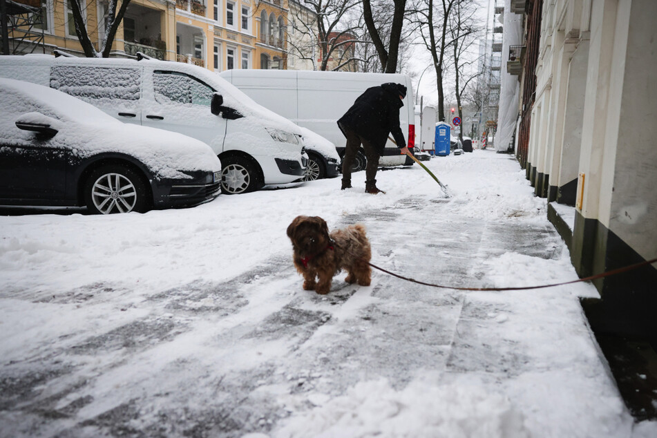 Zuletzt stand der Fußverkehr in Hamburg wegen verschneiter und vereister Gehwege im Fokus.
