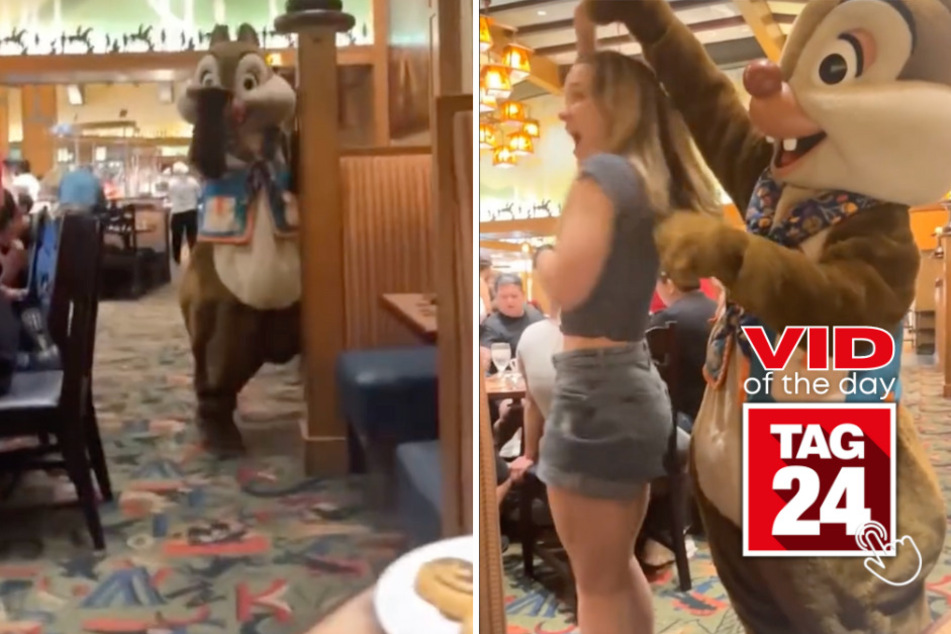viral videos: Viral Video of the Day for December 4, 2023: Chip and Dale bring all the rizz at character brunch!