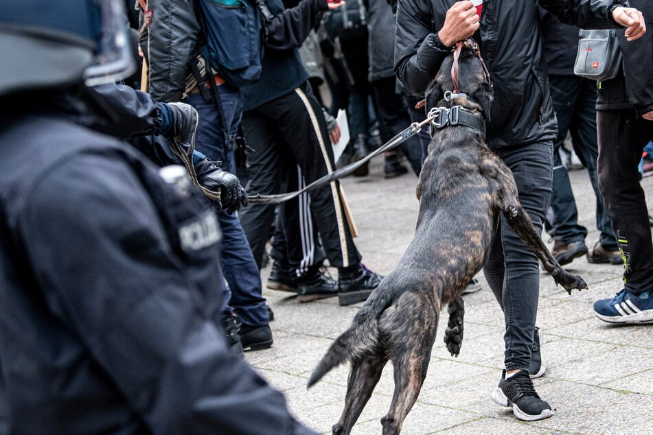 Ein Polizeihund springt einen Demonstranten an. Bei der Hamburger Polizei sind 60 Hunde im Einsatz, davon 40 Schutzhunde. (Archivbild)
