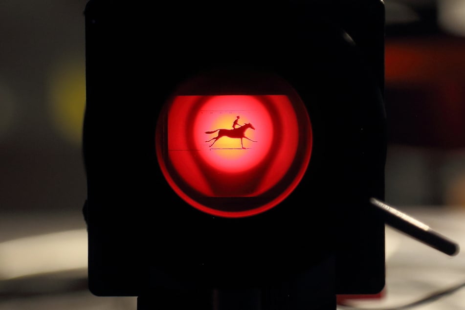 Das ist das Pferd, das teleportiert wird.