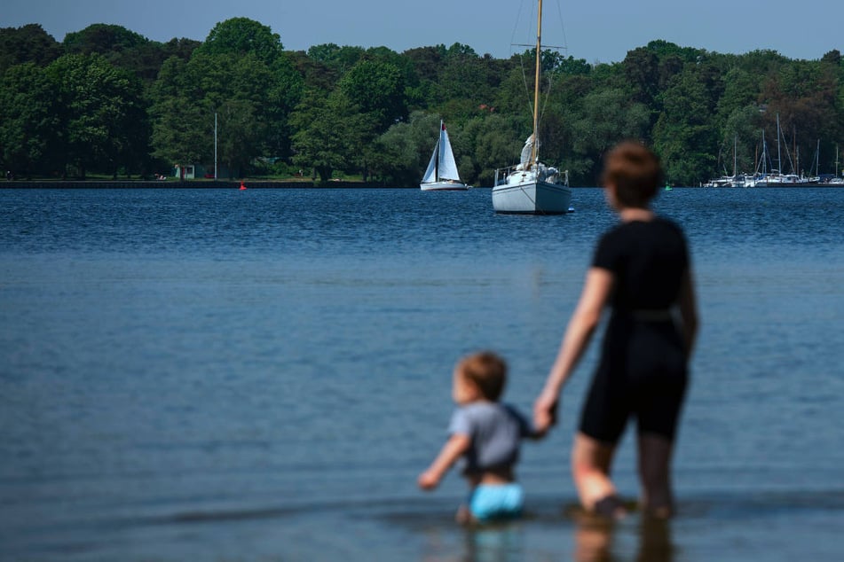 Berlin: Blaualgen in der Havel: Welche Berliner Badestellen betroffen sind