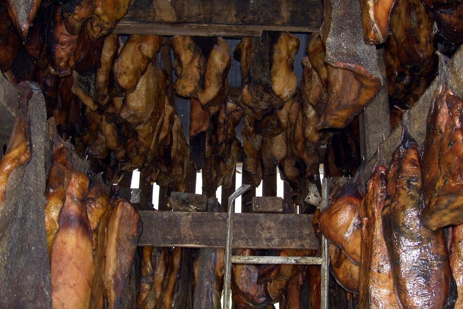 Da das frische Fleisch toxisch ist, muss man den Hai zunächst rotten und dann trocknen lassen.