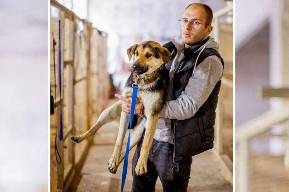 Mit vielen Helfern organisiert der Chemnitzer die Rettung von verlassenen Hunden.