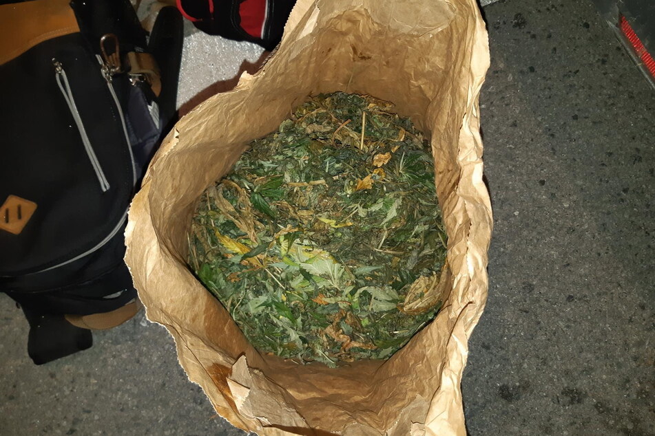 3,3 Kilogramm frisch geerntetes Marihuana fand die Bundespolizei bei einem Radfahrer (35).