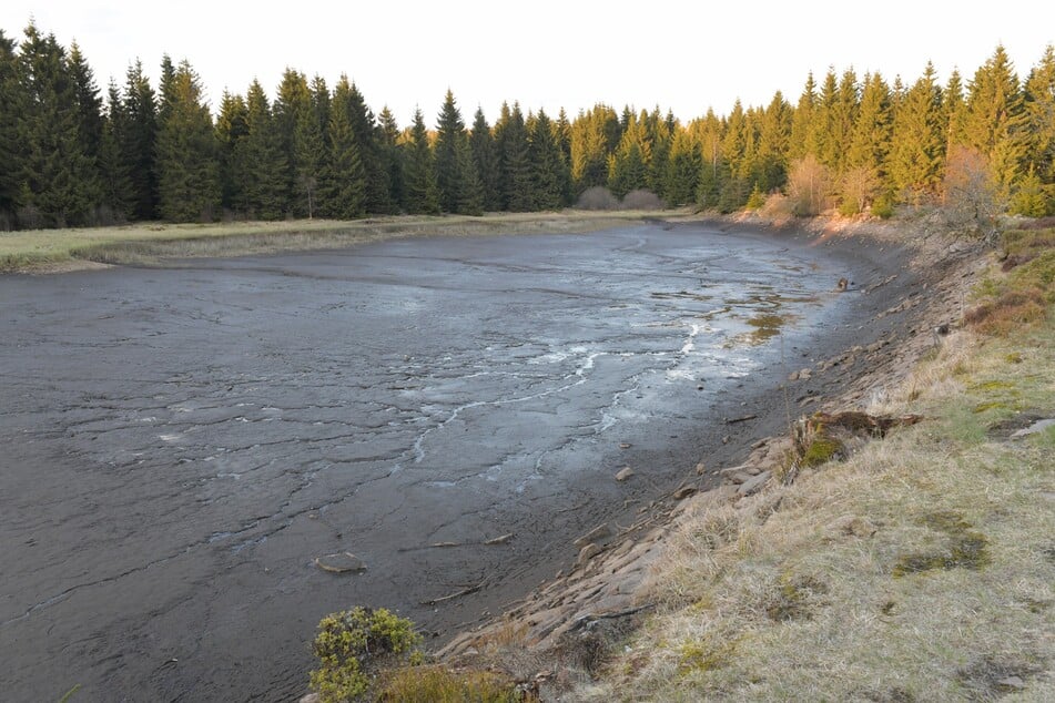 Für eine geplante Sanierung wurde das Wasser abgelassen - allerdings verschwand es schneller als geplant.