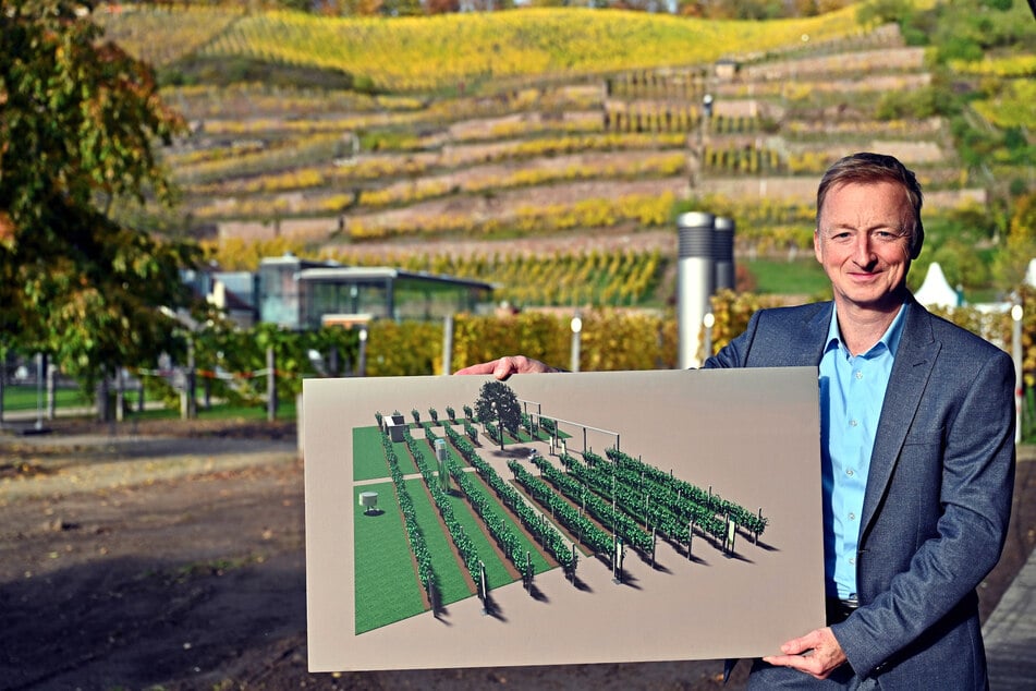Marketing-Chef Michael Thomas (49) zeigt, wie die neue Schauanlage aussehen wird.