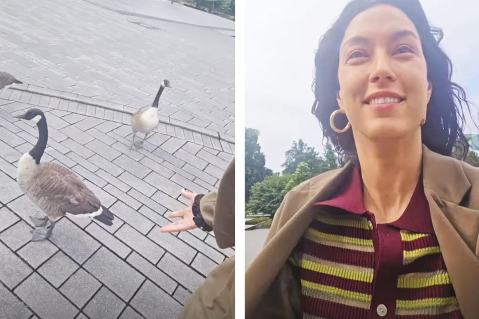 Doch schon kurz darauf war das Gemüt des Models wieder heiter: Eine Gänseschar auf dem Bürgersteig ließ sie lachen