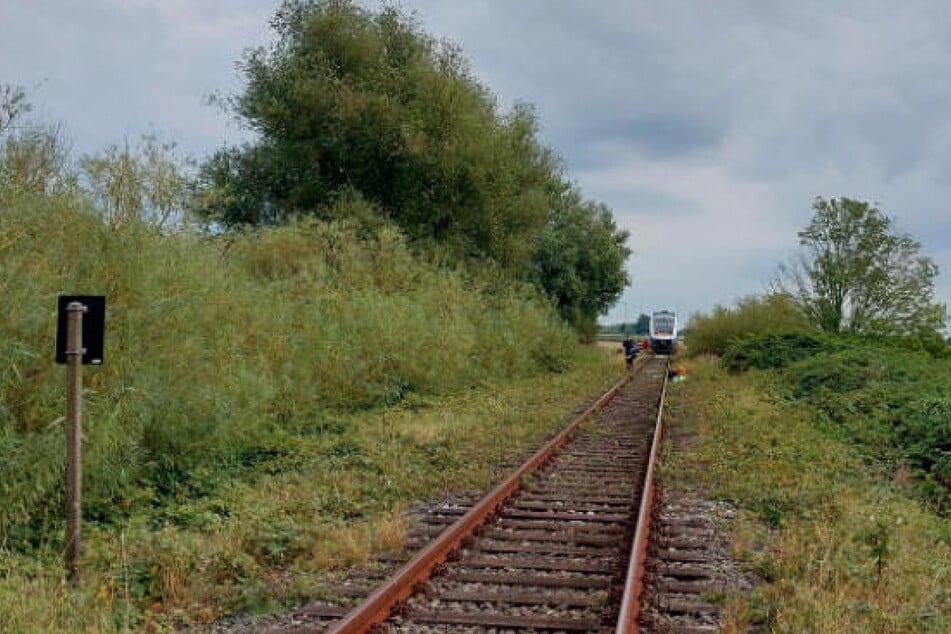 Ein Mann (68) wurde bei Wremen von einem Regionalzug erfasst und schwer verletzt.