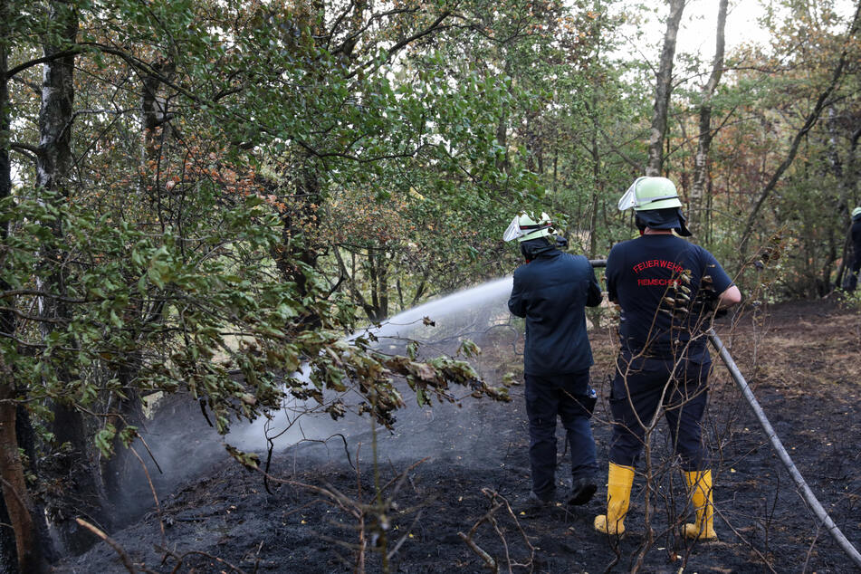 Die Feuerwehr musste einen Waldbrand in Remscheid löschen. Es brannte auf einer Fläche von circa vier bis fünf Hektar.