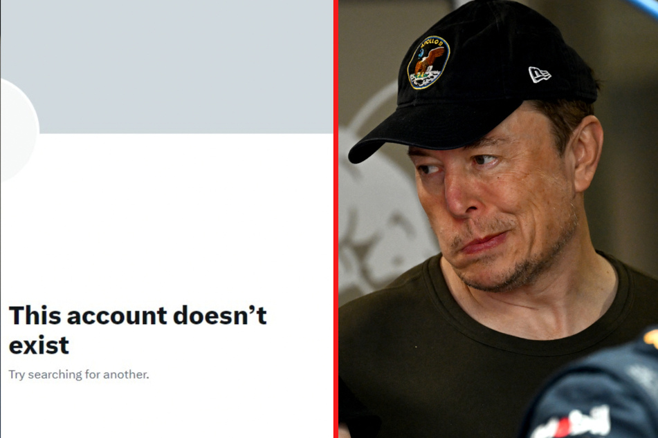 Elon Musk: Elon Musk is purging Twitter accounts that have been inactive for too long
