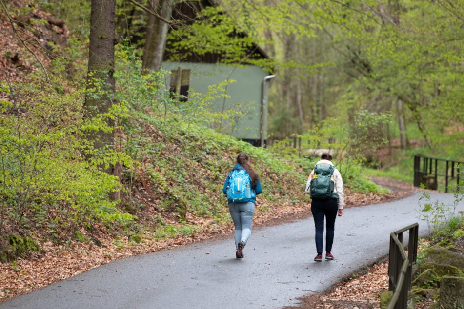 Die Anzahl der Wanderunfälle hat wieder das Niveau vor der Corona-Pandemie erreicht. (Symbolfoto)