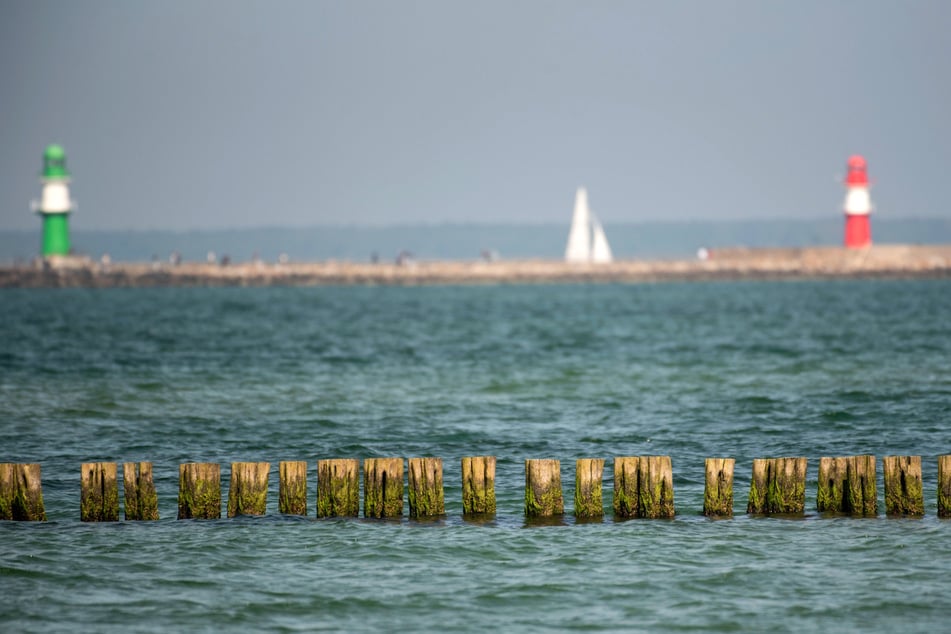 Forscher warnen vor giftigem Schwermetall in der Ostsee