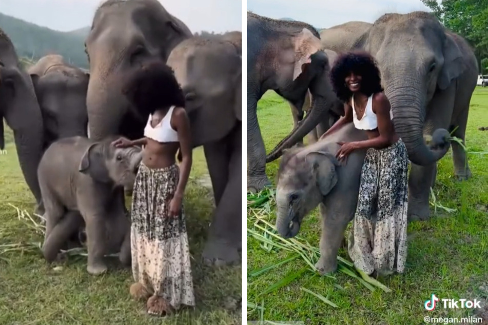 Ein kleiner Elefant interessierte sich für die junge Frau.