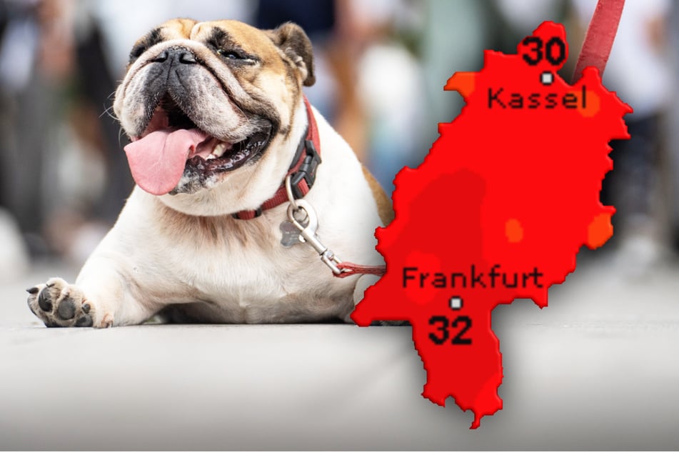 Bis zu 34 Grad! So traumhaft wird das Hessen-Wetter heute und in den nächsten Tagen