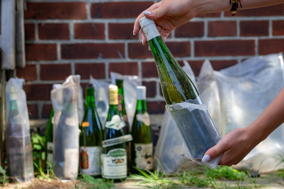 Alle Flaschen wurden einzeln in Tüten verpackt, um sie im Erdreich zu schützen. Hätte hier jemand nur seine Bestände entsorgt, hätte er sich kaum solche Mühe gemacht.