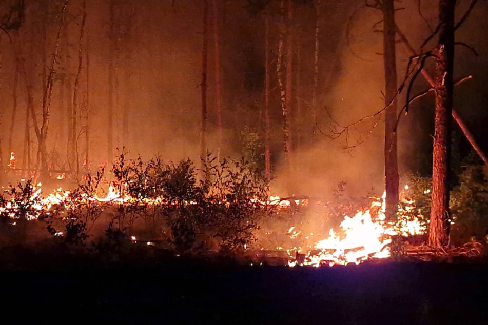 So lief die Waldbrandsaison in Brandenburg bisher in diesem Jahr