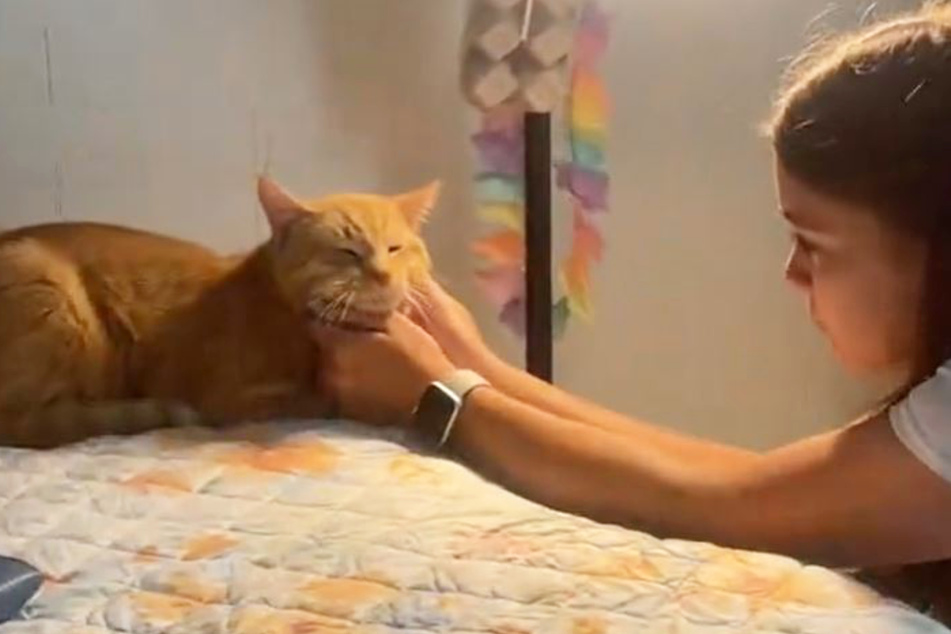 This cat's dramatic response to its owner's absence has the internet saying aw!