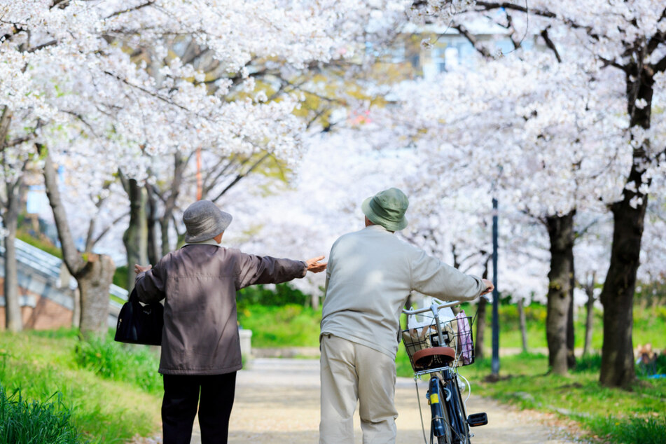 20 Millionen Japaner sind bereits 75 Jahre alt oder älter. Knapp 12,6 Millionen sind 80 Jahre alt oder älter.