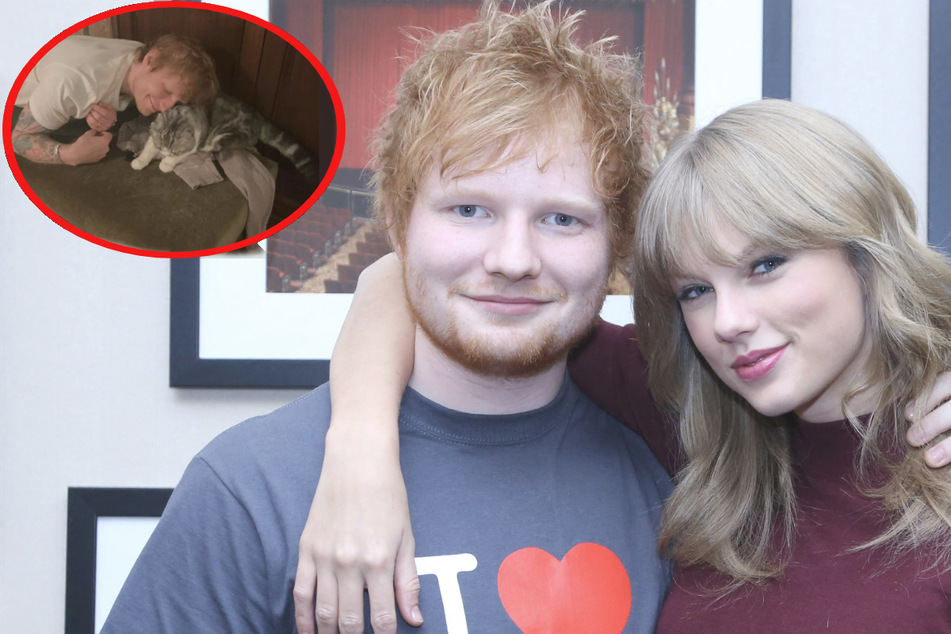Ed Sheeran has the honor of a rare audience with Taylor Swift's "really private" cat!