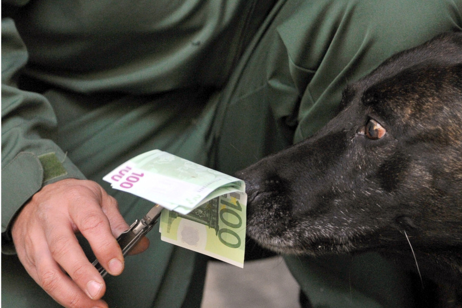 Polizeihunde im Südwesten erschnüffeln nun auch Bargeld