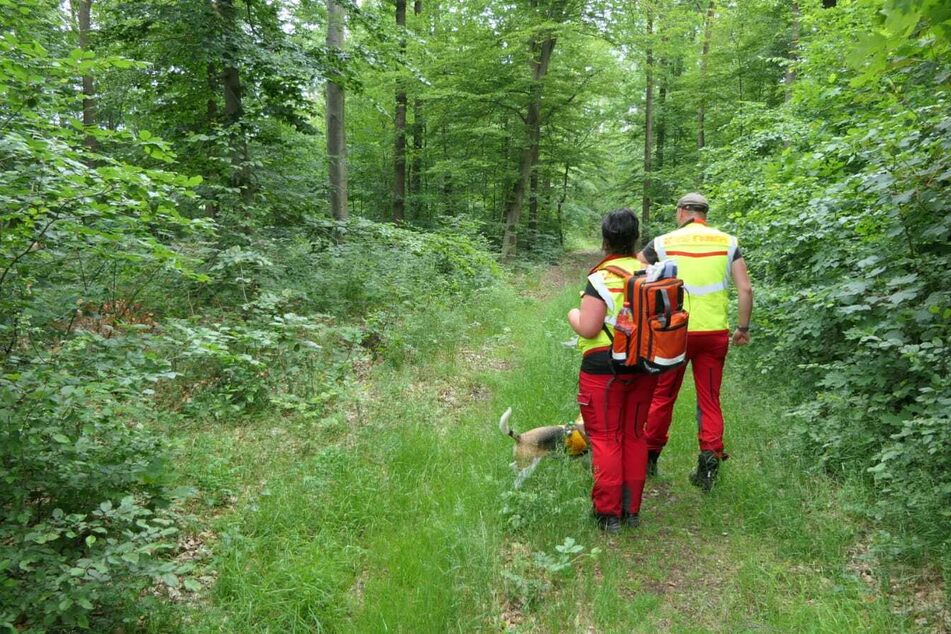 An der aktuellen Suchaktion sind rund 15 Hunde beteiligt.