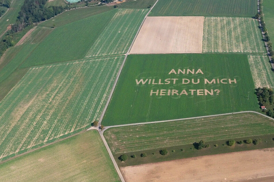 "Anna willst du mich heiraten" hat ein Landwirt aus Sulz in einen Acker gefräst.