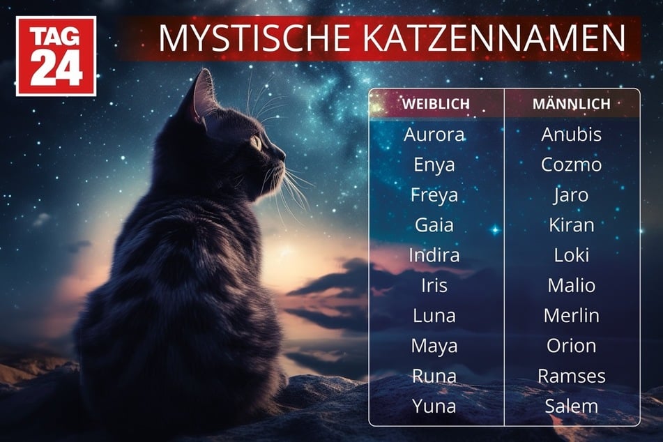 Die Liste mit mystischen Katzennamen für weibliche und männliche Katzen von TAG24 dient als Inspiration für die Benennung einer Fellnase.