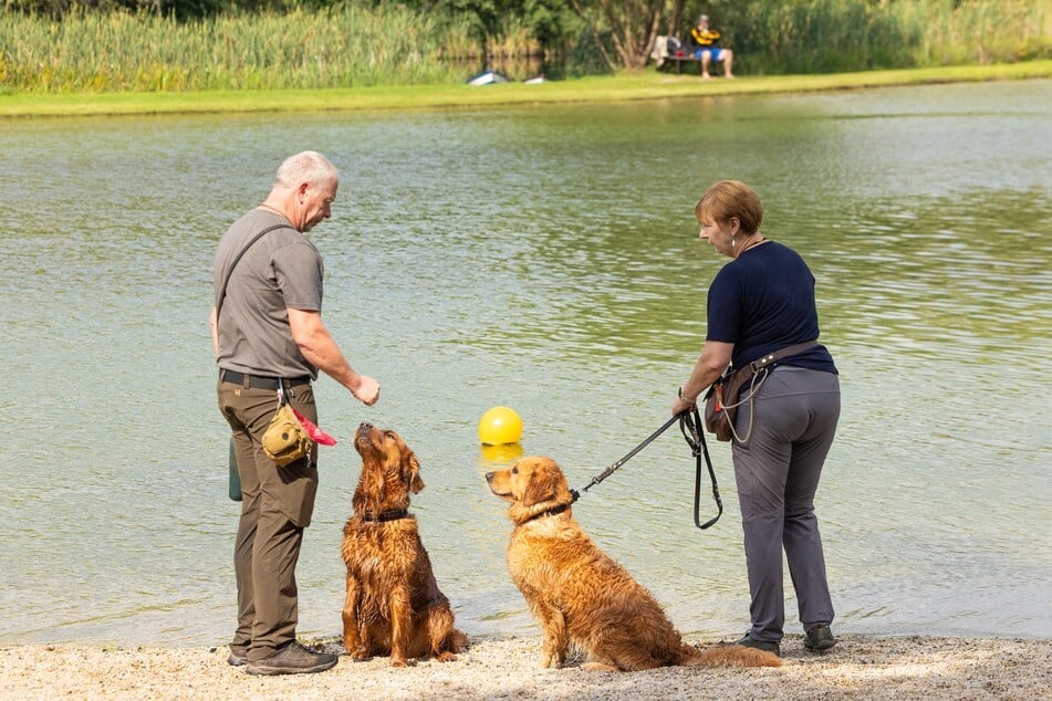 Am Sonntag soll das Badevergnügen wiederholt werden.