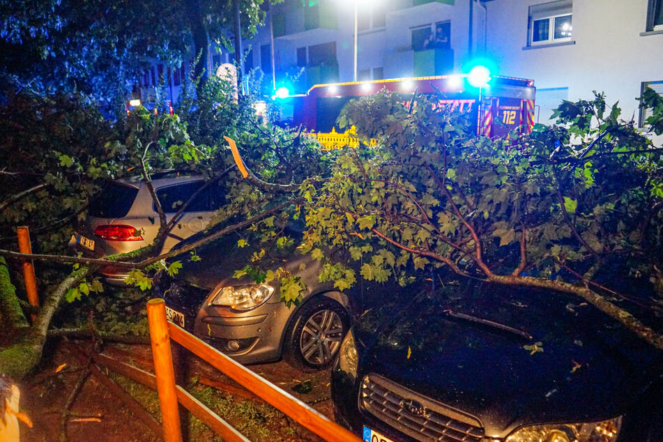 Zahlreiche Bäume stürzten zu Boden.