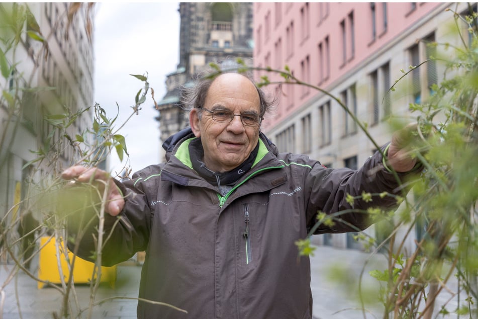 Rainer Pietrusky (76) leitet einen Trupp Ehrenamtlicher, die sich um die Pflanzenpflege kümmern.