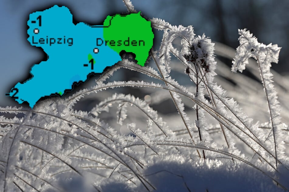 Mit bis zu -3 Grad werden die Nächte immer frostiger. (Symbolbild)