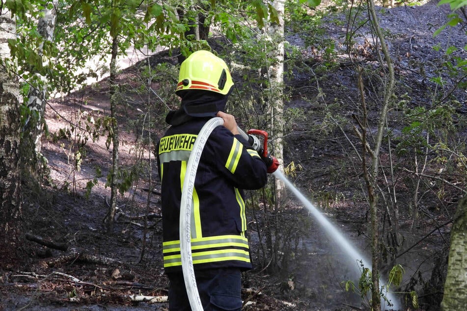 Insgesamt 1000 Quadratmeter Waldboden mussten bei Laubusch gelöscht werden.