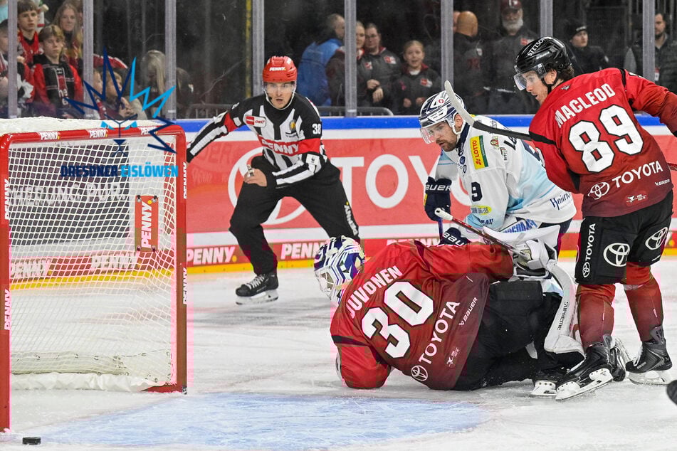 Dieses Jahr wird's nichts mehr! Wann kommt ein neuer Sportdirektor bei den Eislöwen?