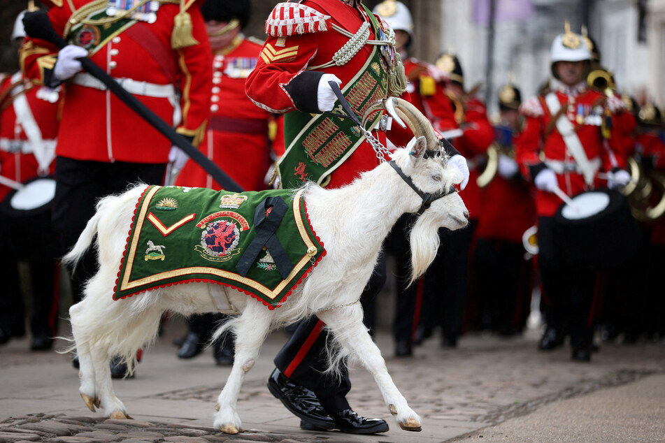 The Battalion of the Royal Welsh, supported by the Band of the Royal Welsh, march with their mascot, a Welsh billy goat called Lance Corporal Shenkin IV, ahead of the proclamation ceremony for King Charles.