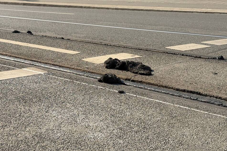 Stillstand wegen Sommerhitze: Ab Mittwoch fahren wieder mehr Straßenbahnen in Nürnberg