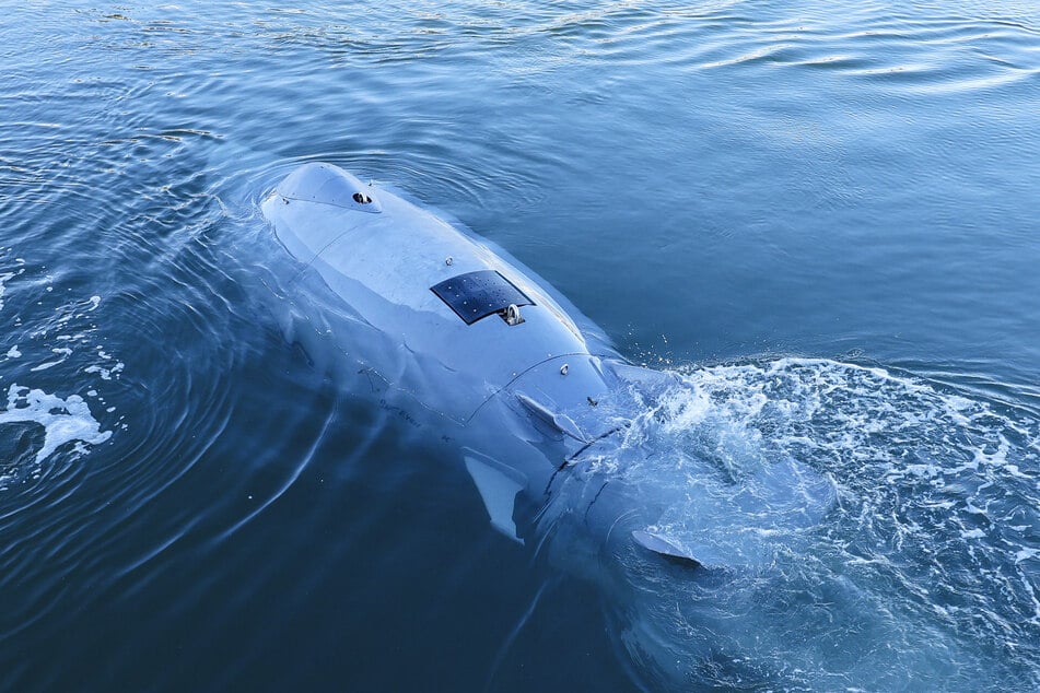 "Greyshark": Autonome Unterwasserdrohne erkundet die Ostsee