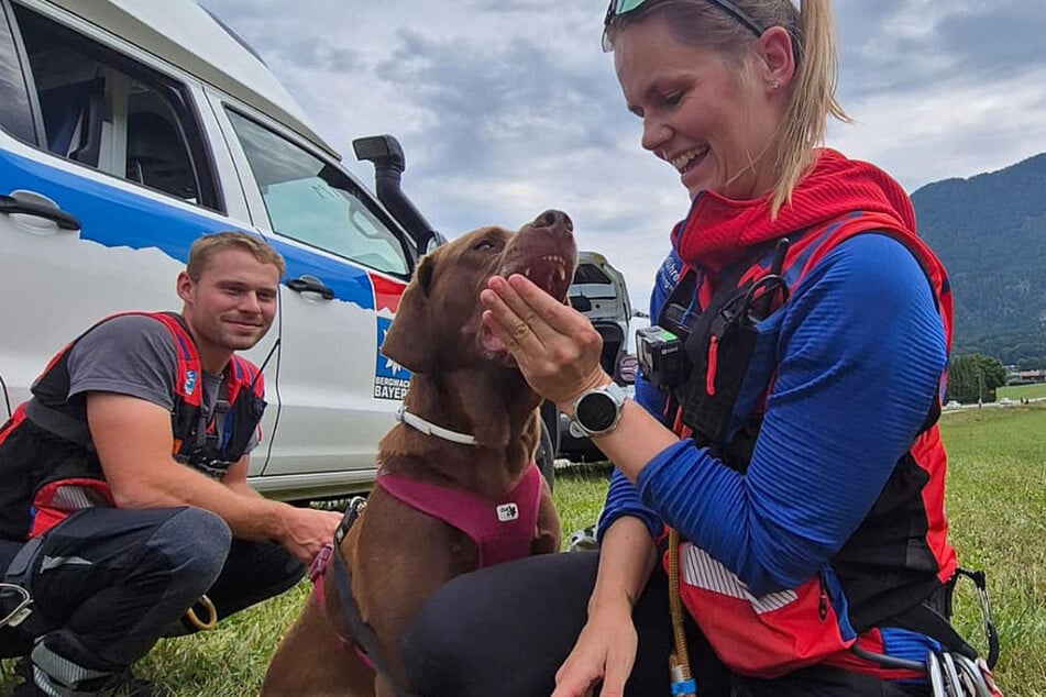 Der 27 Kilo schwere Labrador schaffte den Abstieg nicht mehr. Sein Herrchen musste schließlich die Retter alarmieren.