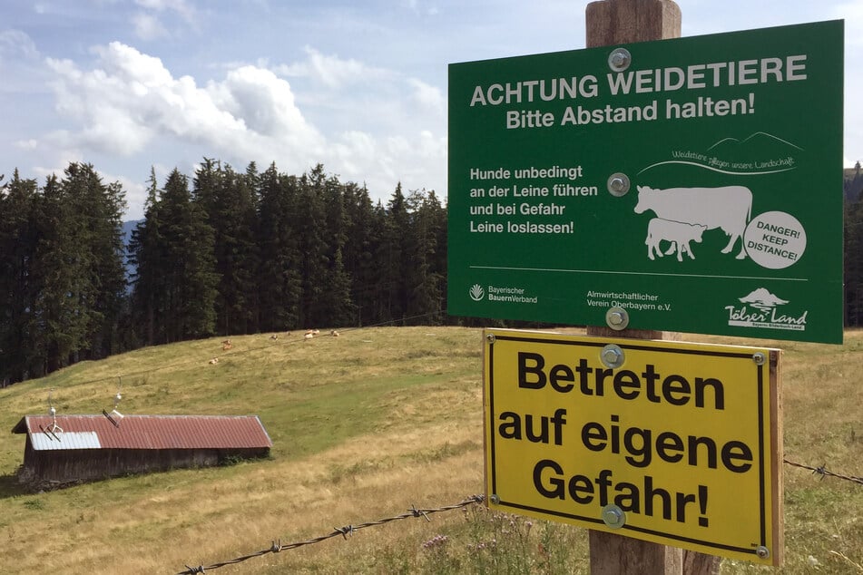 Ein Schild warnt vor frei laufenden Kühen auf einer Weide.