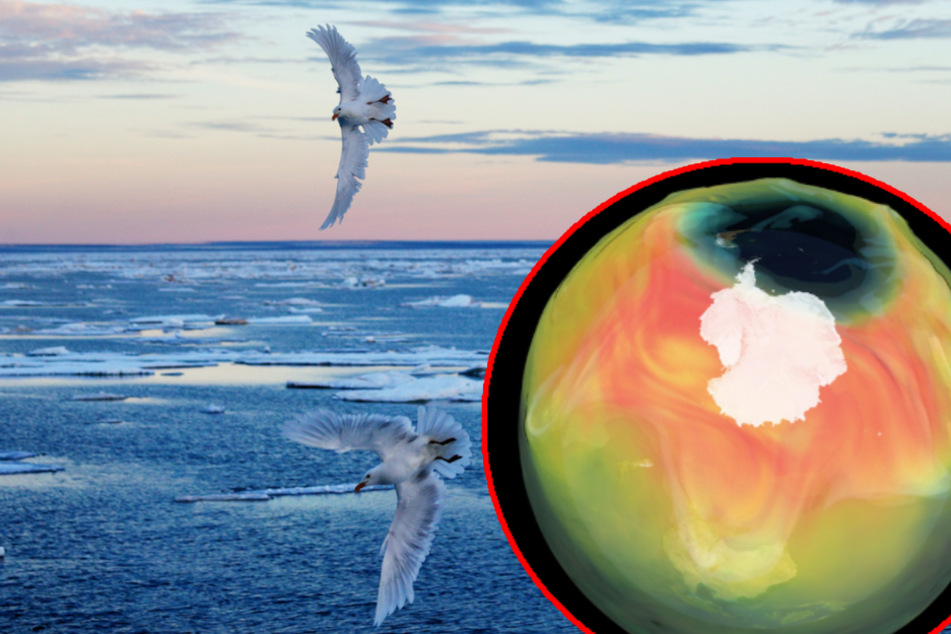 Ozonloch über dem Nordpol: Forscher entdecken erstmals Schäden über der Arktis