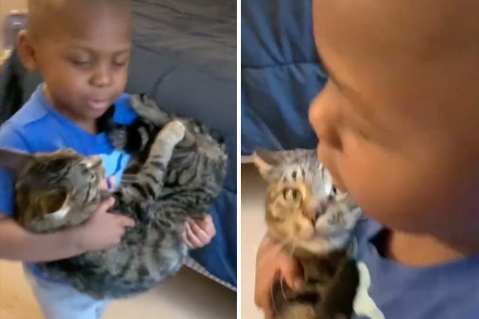 Rock-a-bye kitty: boy sings his cat lullaby and the internet loves it