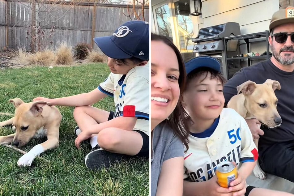 Sunny hat es nicht nur in die Herzen von Danielle und Ethan geschafft, sondern auch in das ihres Sohnes Oliver - die Hündin darf bei der Familie bleiben.