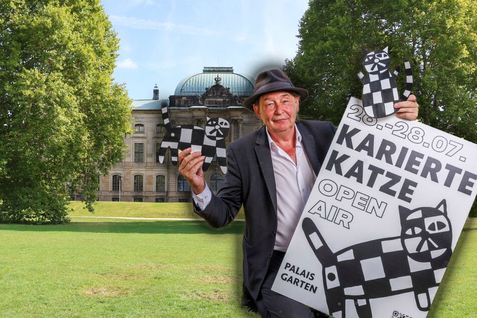 Dresden: 2025 noch extrem präsent in Dresden: Wo bleibt die Karierte Katze in diesem Jahr?