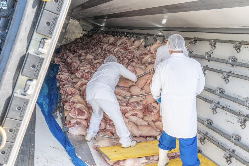 Unfall A3: Sattelzug mit 21 Tonnen Schweinefleisch kippt auf Autobahn um