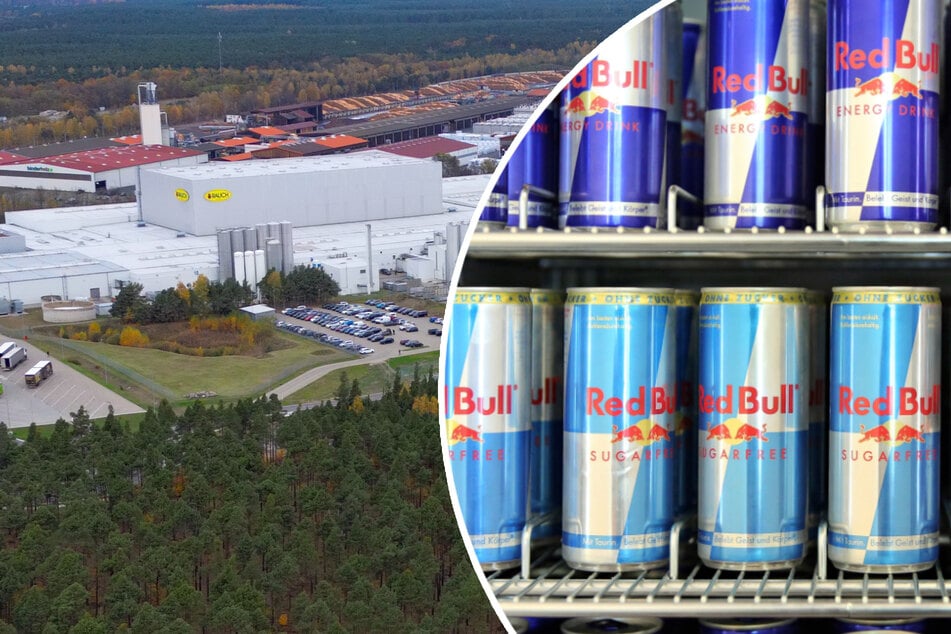 Grüne Liga Brandenburg will Red Bull "Flügel stutzen"