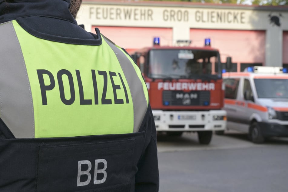 Im Waldgebiet nördlich von Groß Glienicke wurde eine größere Menge Weltkriegsmunition entdeckt, die durch den Kampfmittelbeseitigungsdienst kontrolliert gesprengt werden soll.