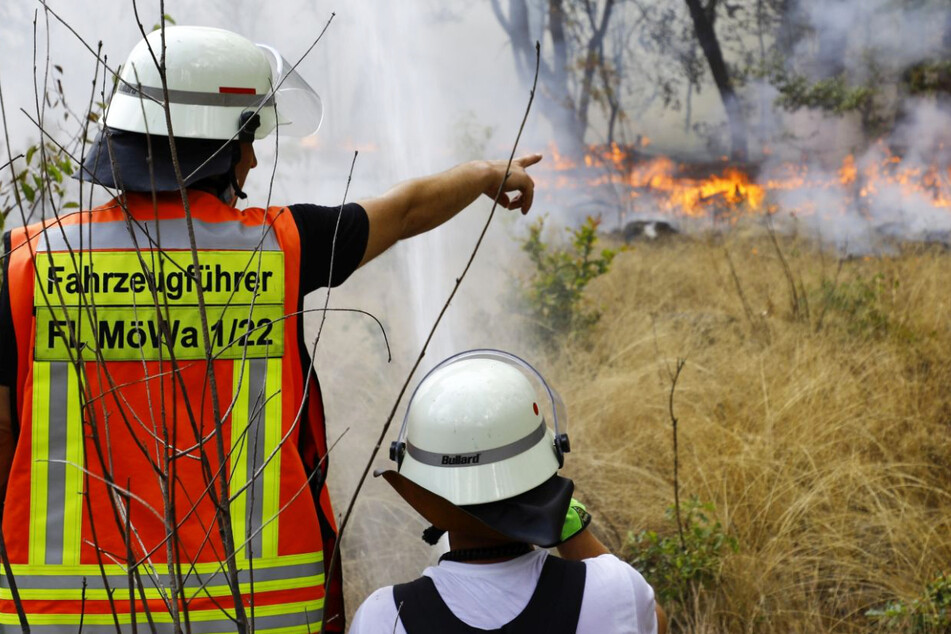 Das Foto zeigt einen Waldbrand, der im August des vergangenen Jahres bei Mörfelden-Walldorf in Südhessen ausbrach.