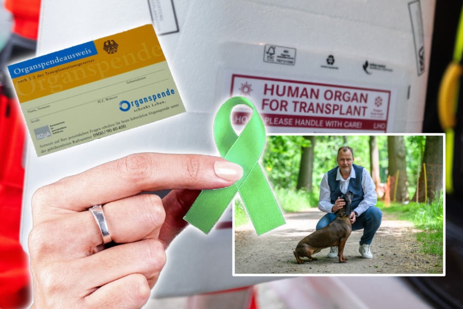 Hunderte Deutsche warten auf eine Transplantation: Dieser Sachse verdankt einer Organspende sein Leben