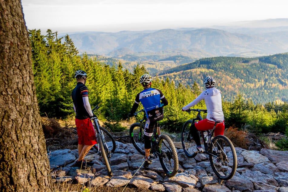 Tolle Abfahrtsstrecken warten: Habt Ihr schon die erlebnisreichen Mountainbike-Routen im Freistaat erkundet?
