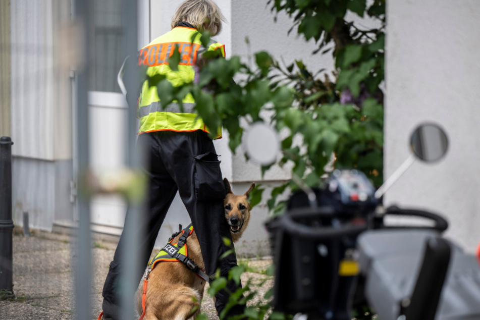 Beamte und ein Spürhund untersuchten vergangenen Mai den Tatort eines Tötungsverbrechens in Döbeln. Im Januar soll es zum Prozess kommen.